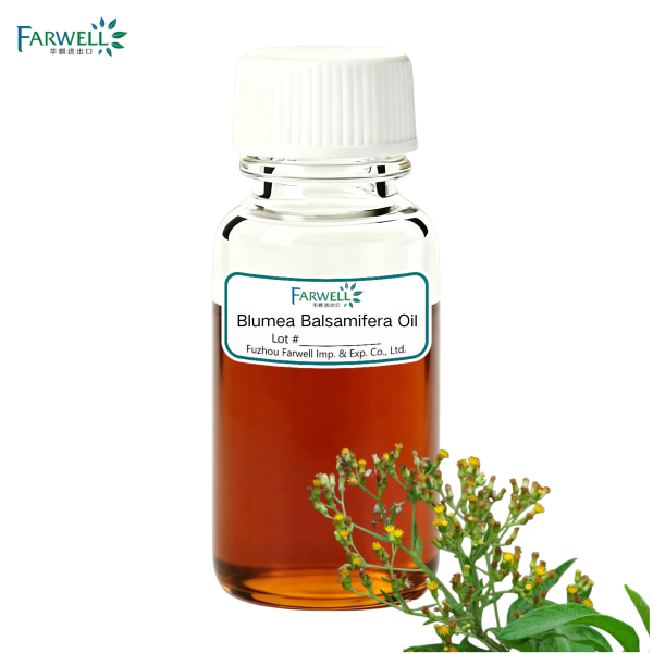 Farwell Blumea Balsamifera Oil