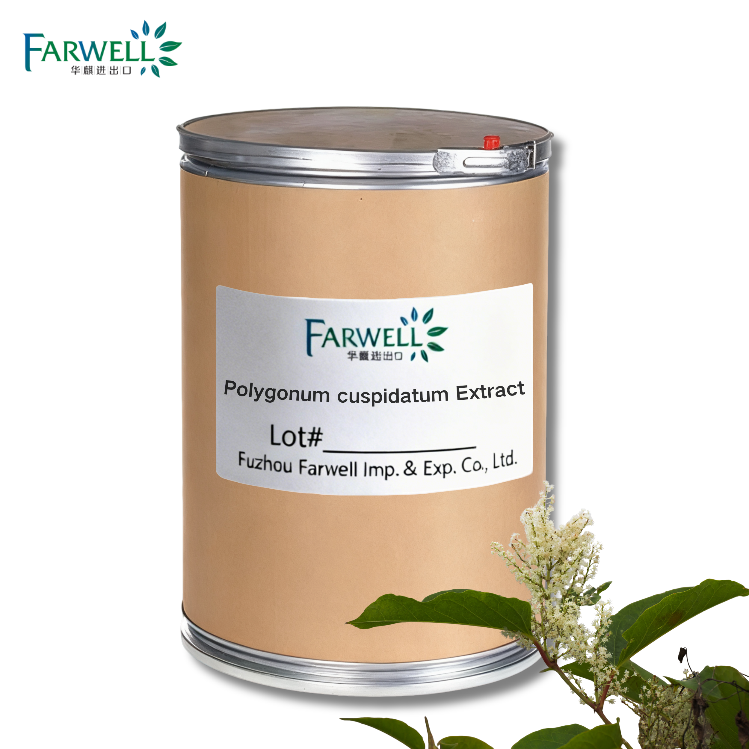 Farwell Polygonum cuspidatum Extract - 图片 2