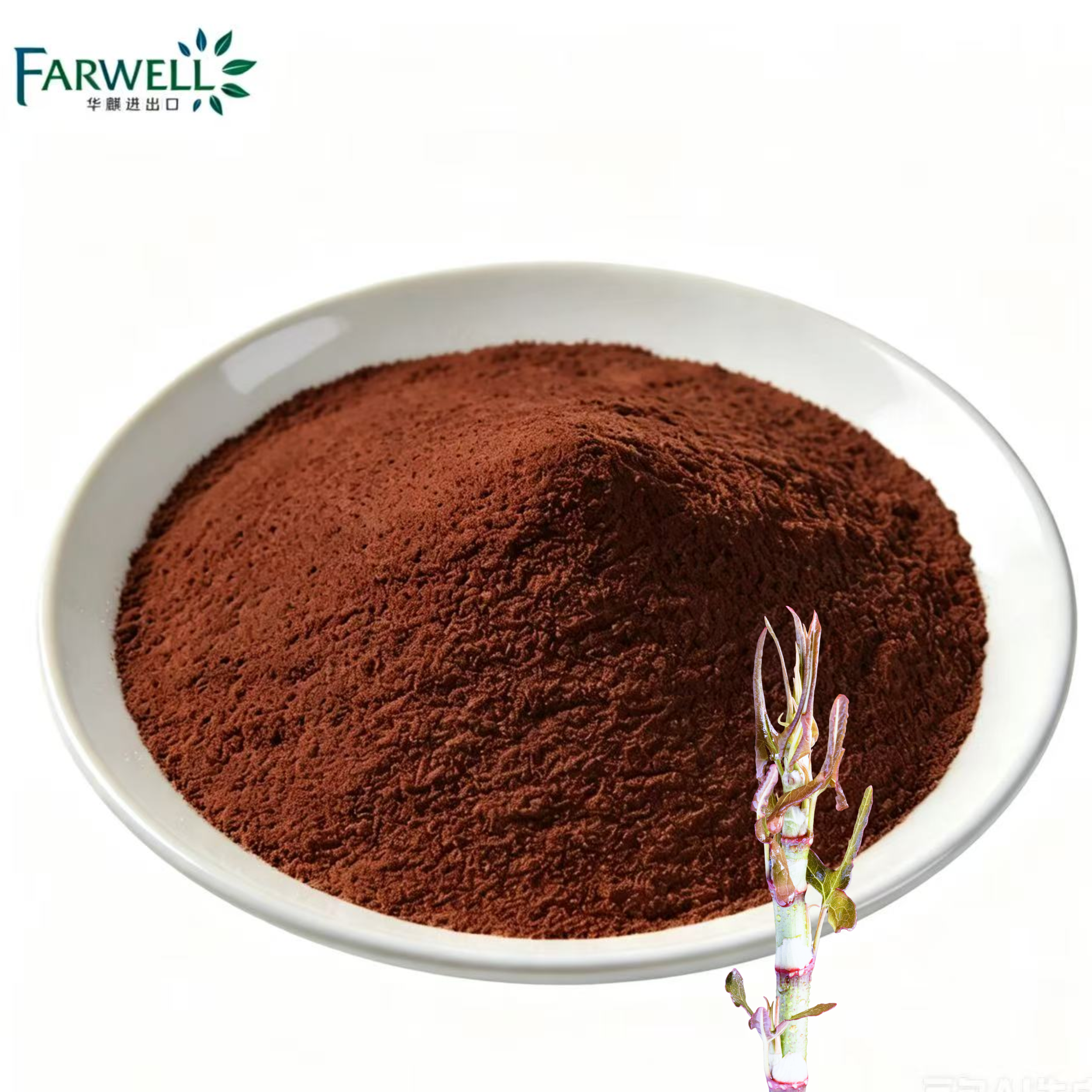 Farwell Polygonum cuspidatum Extract